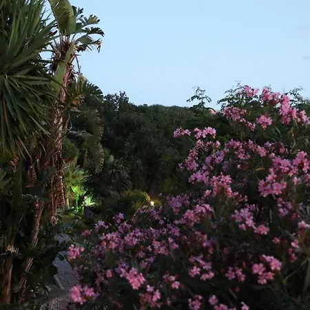 Bed and Breakfast Mamma Rita